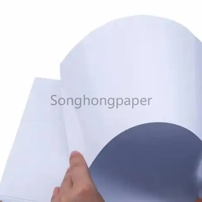 Rotolo di carta artistica rivestita di C1S