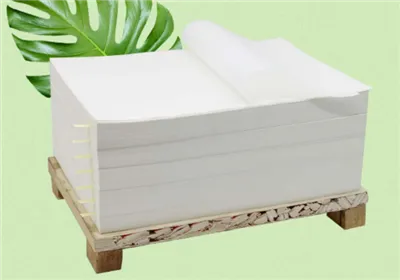 Knowledge Popularization of Plastic Suction Series Paper (Part One)