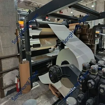 Fogli di cartone bianchi blister riciclabili