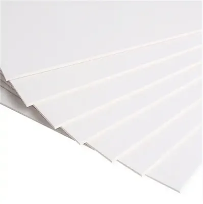 Guangdong Province, a key hub for China's paper industry Guangdong Province, a key hub for China's paper industry